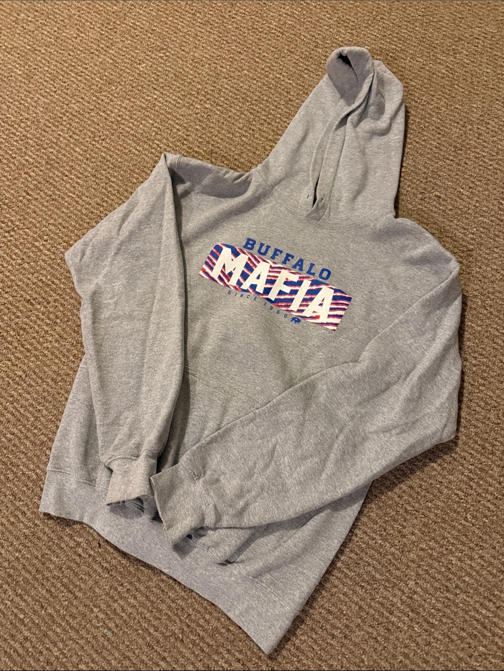 Buffalo Graphic Logo Hoodie in Gray